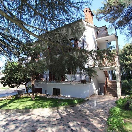 Apartment Clementina Višnjan エクステリア 写真
